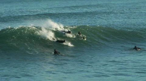Surf And Backflop! Vidéo 346655