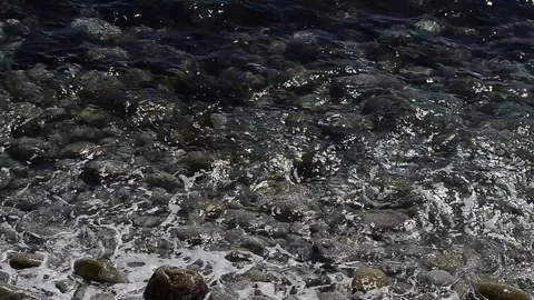 Surf and sunlight Stock Footage 103802689