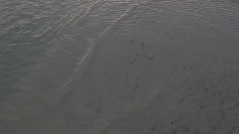 Surf Background at the Sandbar in Ocean Video stock 84985281