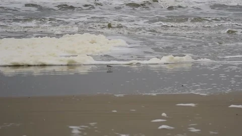 Surf on a beach of the North Sea on a cloudy day Stock Footage 154749182