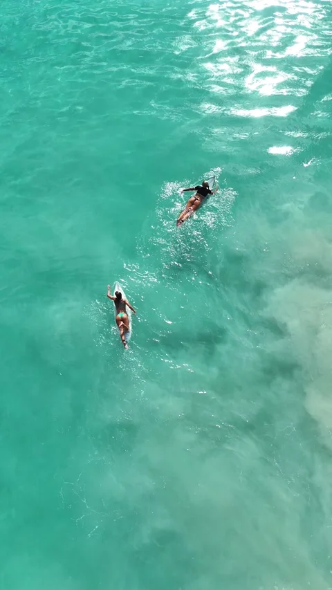 Surf, Beach, Paradise, Indonesia Stock-Footage 344108535