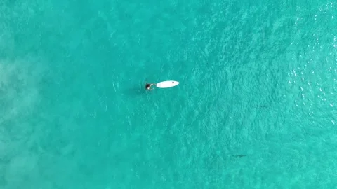 Surf, Beach, Paradise, Indonesia Stock-Footage 344108800