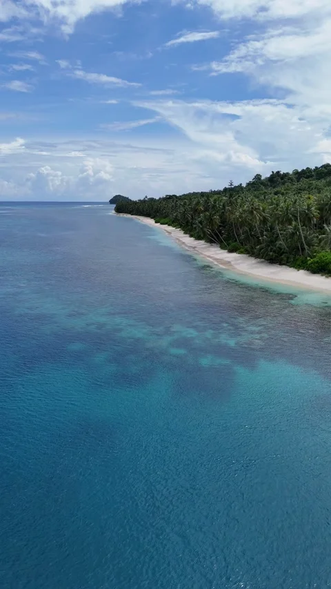 Surf, Beach, Paradise, Indonesia Stock-Footage 344112169