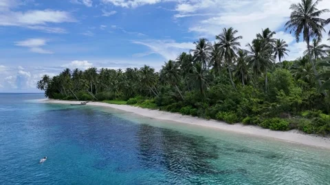 Surf, Beach, Paradise, Indonesia Stock-Footage 344113833