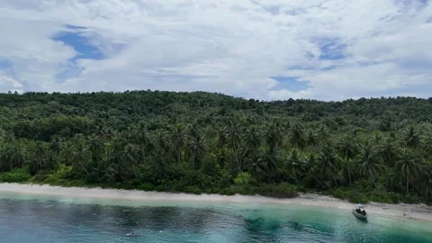 Surf, Beach, Paradise, Indonesia Stock-Footage 344113955