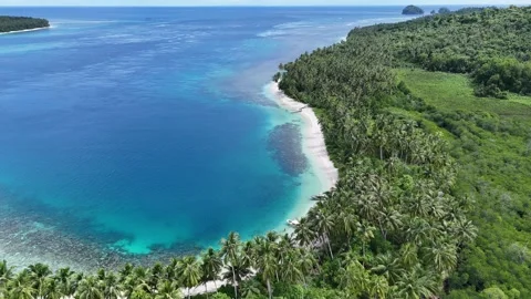 Surf, Beach, Paradise, Indonesia Stock-Footage 344114804