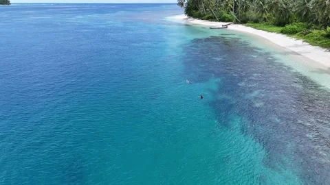 Surf, Beach, Paradise, Indonesia Stock-Footage 344114860