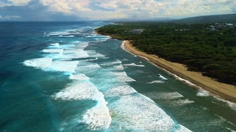 Surf Beach with Powerful Atlantic Ocean Waves, Aerial View Video stock 314806147