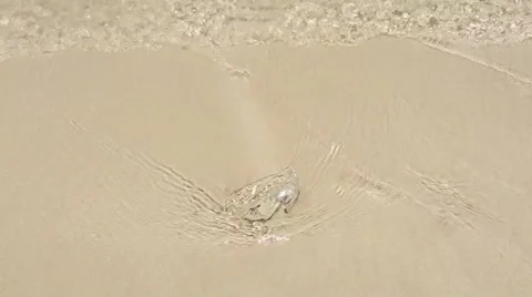 Surf on a beautiful sand beach, Soft wave with plastic bag on the sandy beach Stock Footage 66701378
