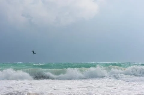 Surf. The big waves. Tide. Stock Photos