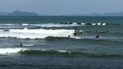 Surf board balancing Stock Footage 197070640