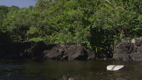 Surf Board floating down stream through jungle type area Stock Footage 72684020