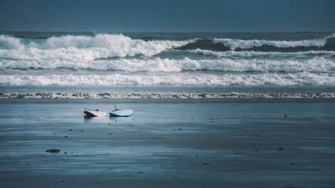 Surf boards on the beach in waves Stock Photos