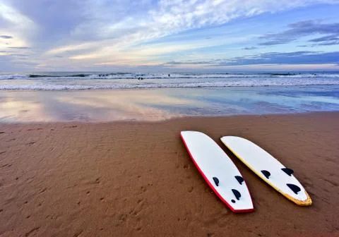 Surf boards lying on beach Stock Photos