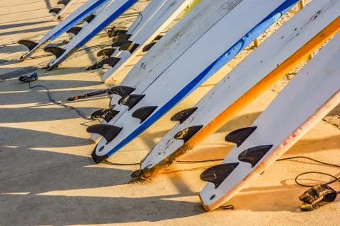 Surf Boards Stock Photos