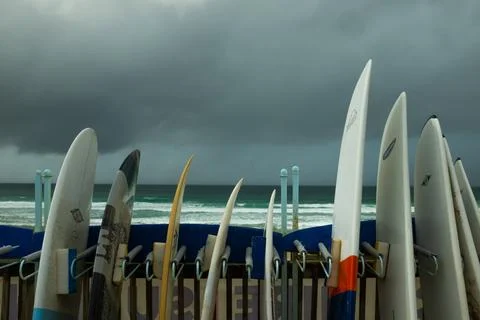 Surf boards in a rack Stock Photos