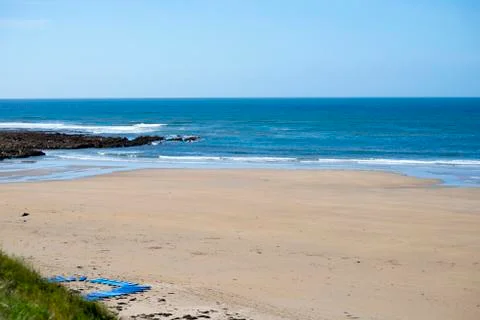 Surf boards on the sandy beach Stock Photos