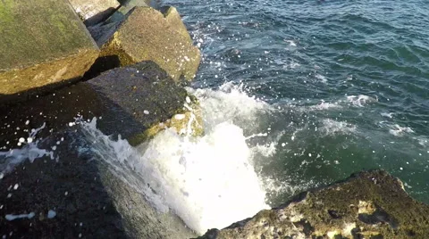 Surf at the Breakwater Vídeos de archivo 50153730
