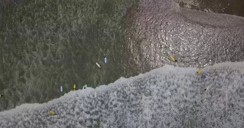 Surf Camp in Australia 9 Stock Footage 159100227