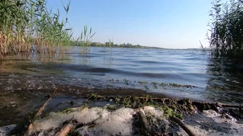 Surf, foam at the shore, fishing rods and rays of the sun. Stock Footage 138874623