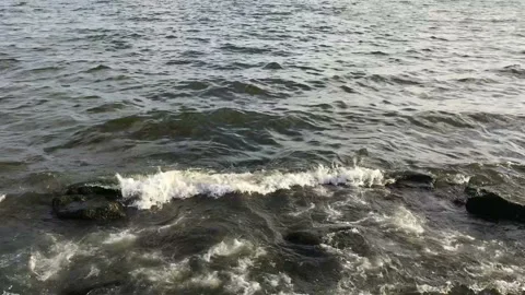 Surf 動画素材 86796322