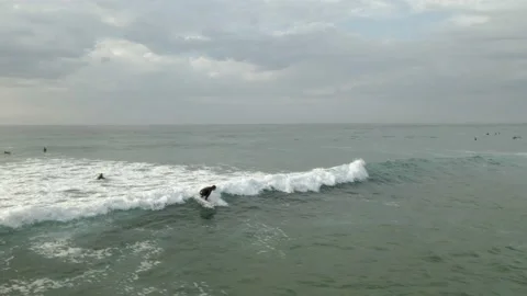 Surf Video stock 195437101