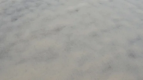 Surf Light Background Stock Footage 84985303