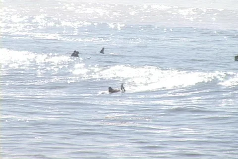 Surf-malaga1 Stock-Footage 504884