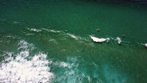 Surf - Mole Beach - Floripa 動画素材 176315383
