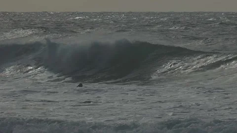 Surf in the ocean Video stock 199334393