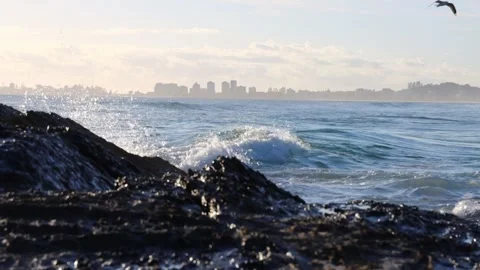 Surf over rocks Video stock 279203180