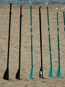 Surf Paddle Board Oars On The Beach Stock Photos