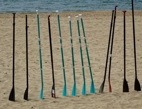 Surf Paddle Board Oars On The Beach Stock Photos