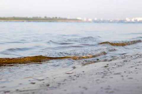 Surf. Stock Photos