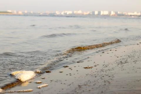 Surf. Stock Photos