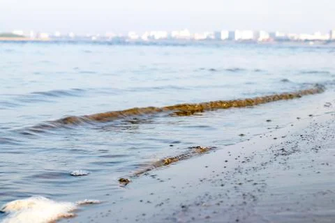 Surf. Stock Photos