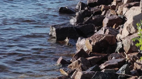Surf on the rocky bach Stock Footage 90913988