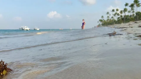 Surf on sandy tropical beach, ocean wave carries away the sargasso seaweed Stock Footage 163662711