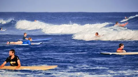 Surf school, students waiting for the first wave. Surfer on the wave. beautif Stock Photos