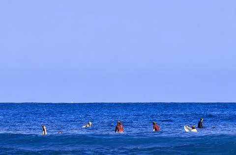 Surf school, students waiting for the first wave. Surfer on the wave. beautif Stock Photos