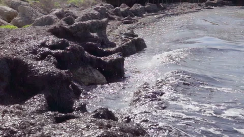 Surf on the sea coast polluted with algae, slow motion 스톡 동영상 244875708