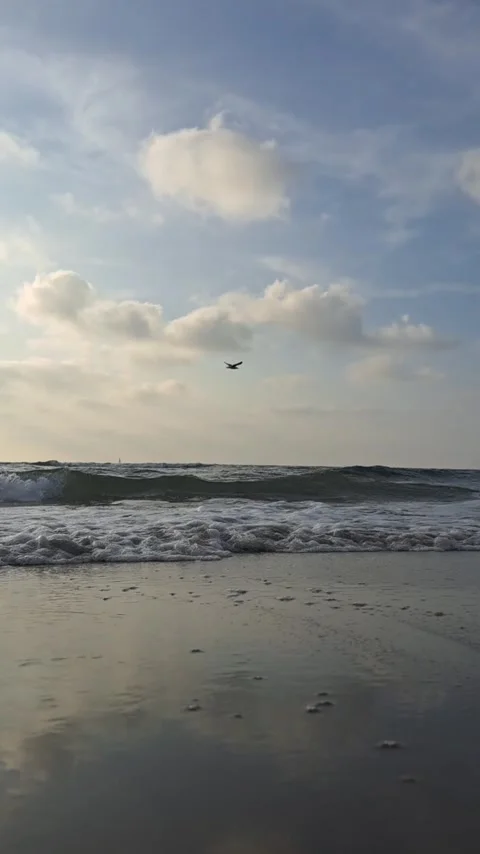 Surf of the sea during sundown Stock Footage 314837029