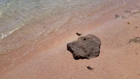 Surf on the sea Stock Footage 107866002