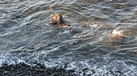 Surf sea HD Vídeos de archivo 30466253