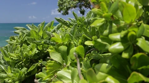 Surf Spot Stock Footage 104712114