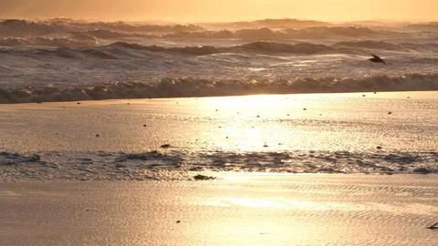 Surf Sunrise Видео 118023264