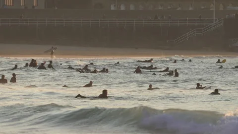 Surf Sunset in wild ocean, Basque Country Video stock 152630059
