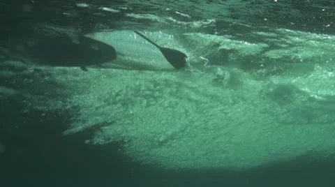 SURF UNDERWATERVIEW Stock Footage 32273609