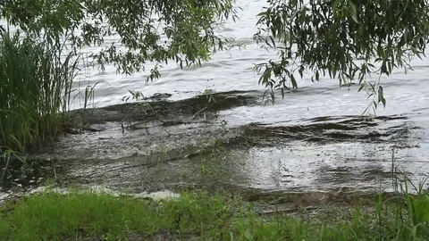 Surf wave on the lake surface. Stock Footage 83014949