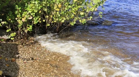 Surf the waves and shine water against bushes Stock Footage 55485591